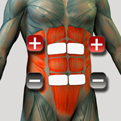 Grupul de mușchi abdominali Plasarea electrodului pentru stimulatorul muscular