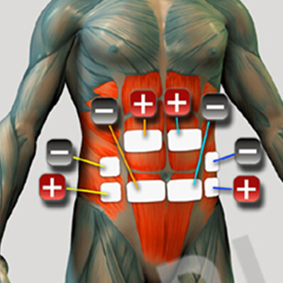 Bauchmuskelgruppe Elektrodenplatzierung für Muskelstimulator