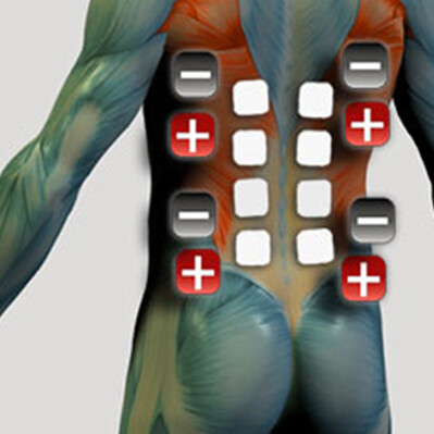 Back Muscle Electrode Placement for Muscle Stimulator