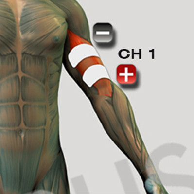 Amplasarea electrodului pentru mușchiul biceps pentru stimulatorul muscular